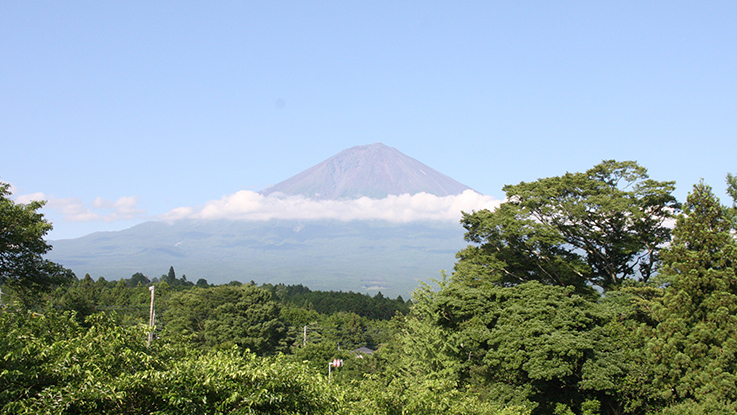 青い空の下に富士山が雲に囲まれて立っている。緑の木々が前景にある。